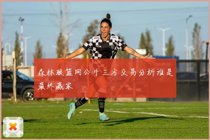 森林狼篮网公牛三方交易分析谁是最终赢家