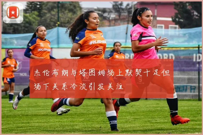 杰伦布朗与塔图姆场上默契十足但场下关系冷淡引发关注